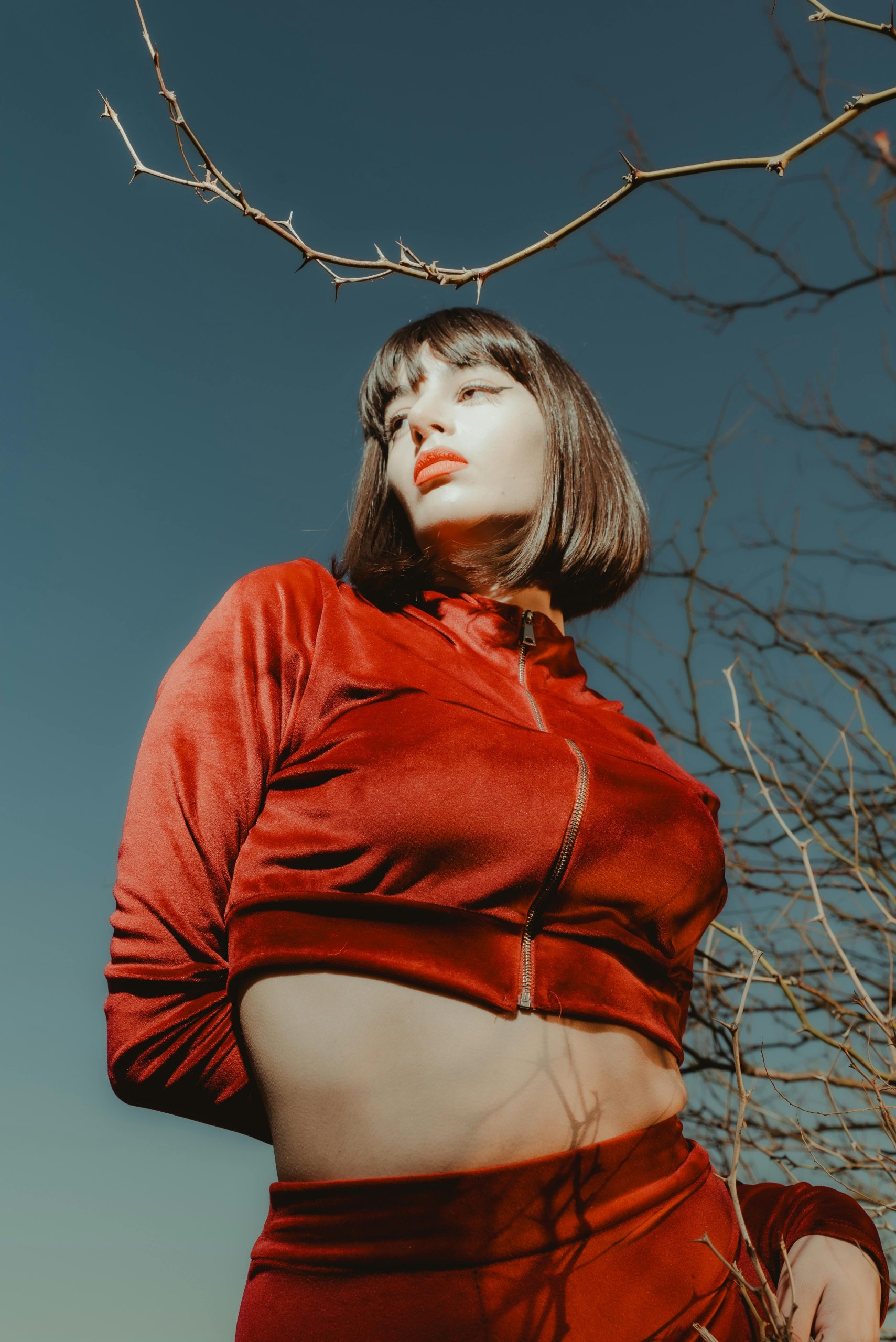 pexels-kwnos-iv-250460536-30567451